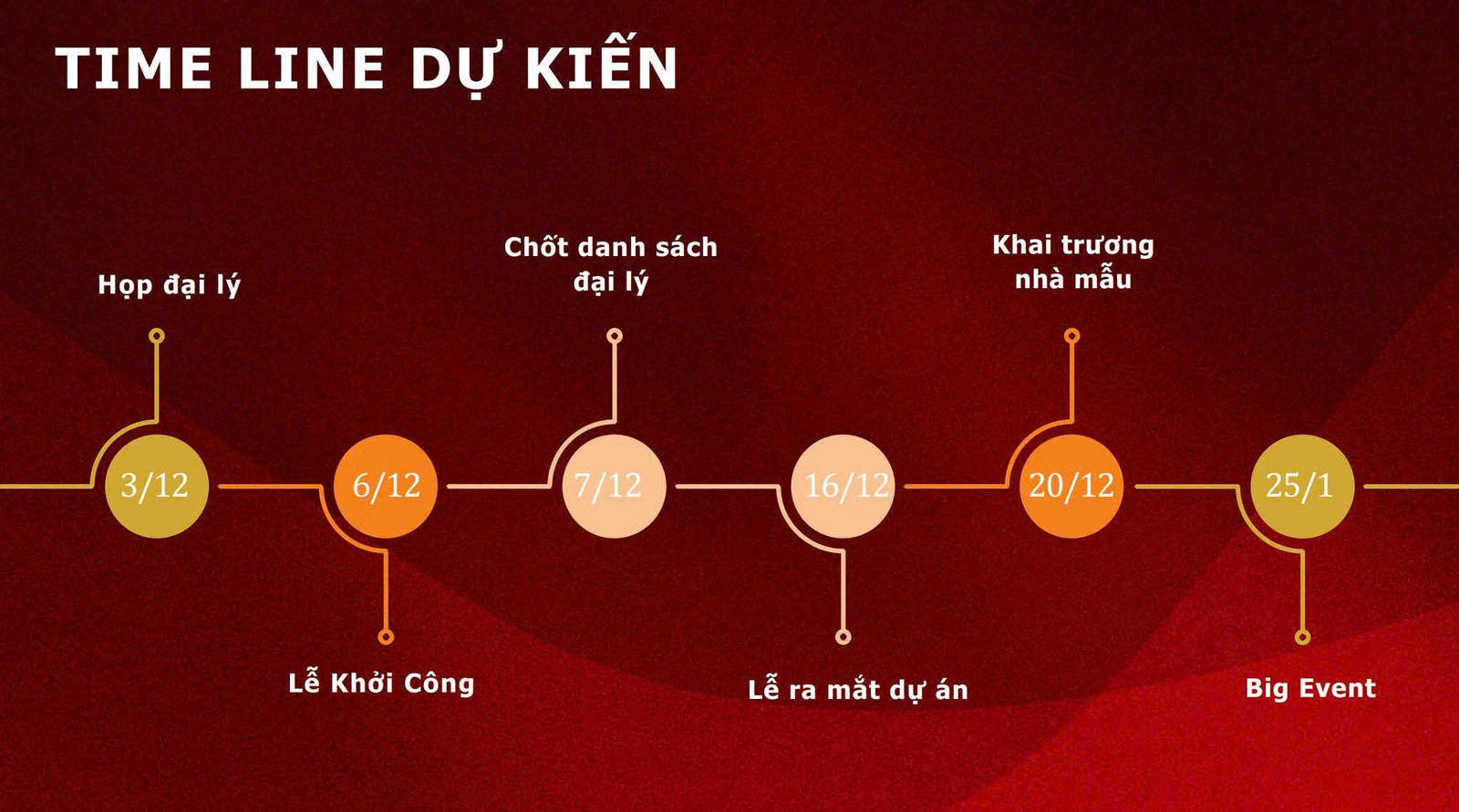 SAINT MARY LIGHT 12 Timeline dự án